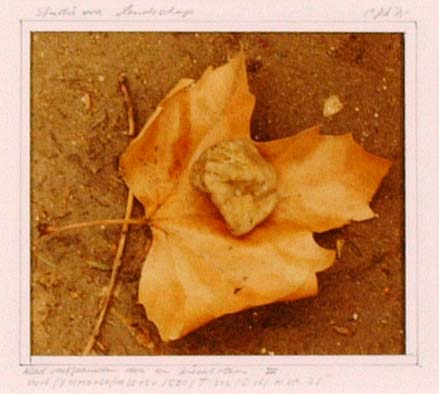 Blad vastgehouden door… III