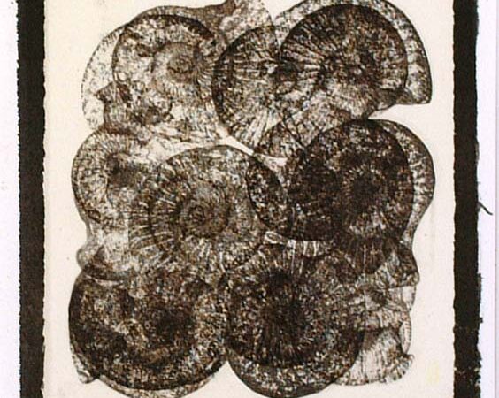 Ammonieten (drieluik) II 3/5