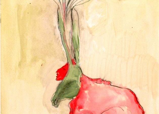 Manfred op de berg Jungfrau